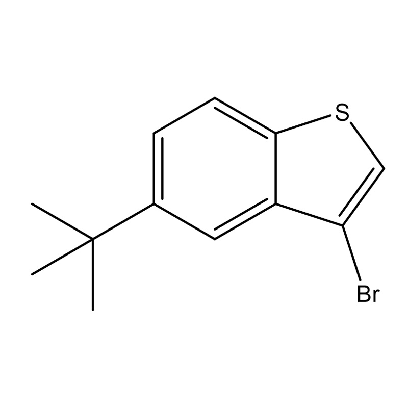 3-brom-5-(tert-butyl)benzo[b]tiofen