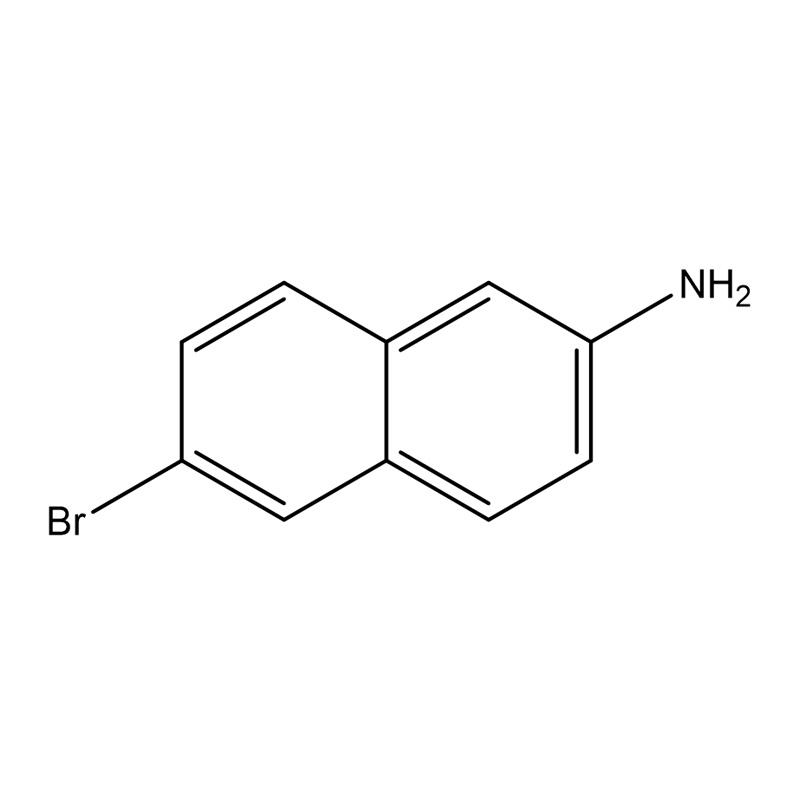 6-Bromonaftalen-2-amin